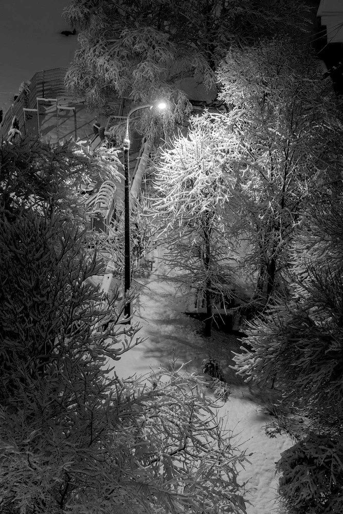 Photograph by Евгений Киселев