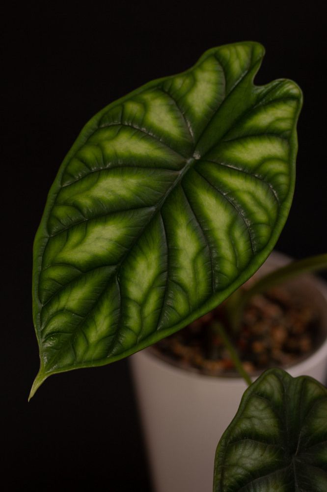 Photograph by Марина Магадиева