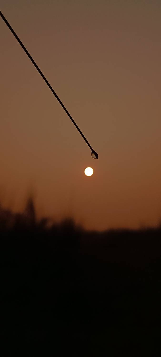 Photo #11315651
