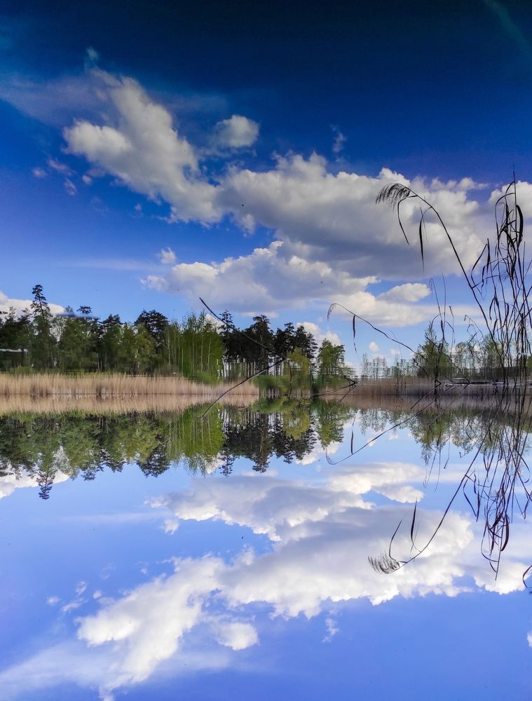 Photograph by Анна Михайловна