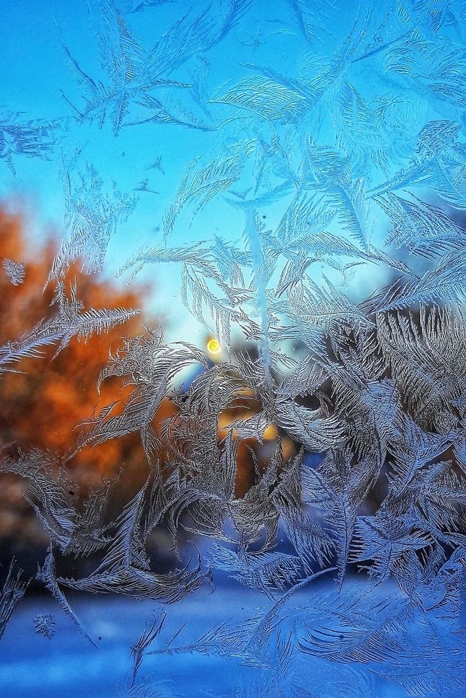 Photograph by Марина Мальцева