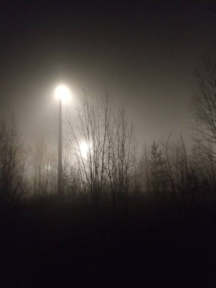 Photograph by Ирина Кортюкова