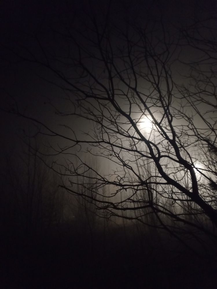 Photograph by Ирина Кортюкова