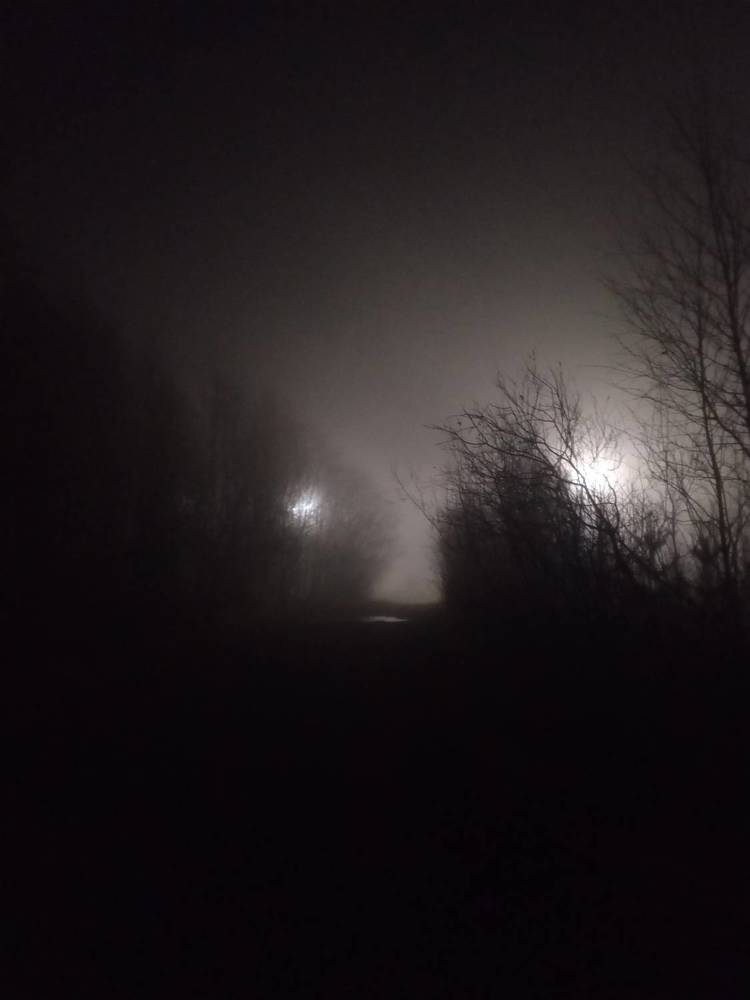 Photograph by Ирина Кортюкова