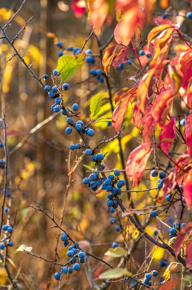 Photograph by Галина Григорьева