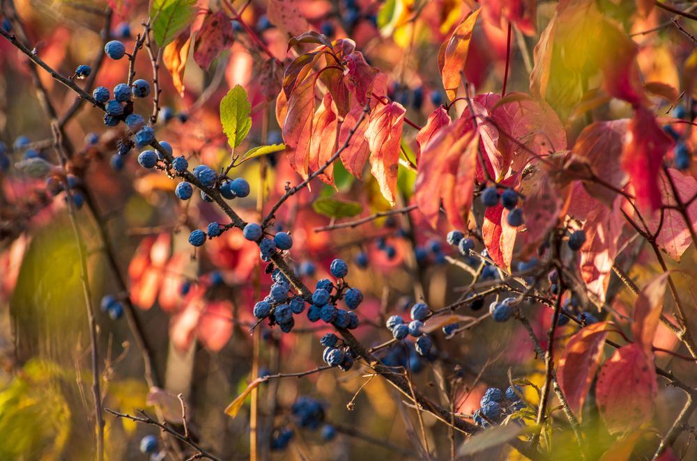 Photograph by Галина Григорьева