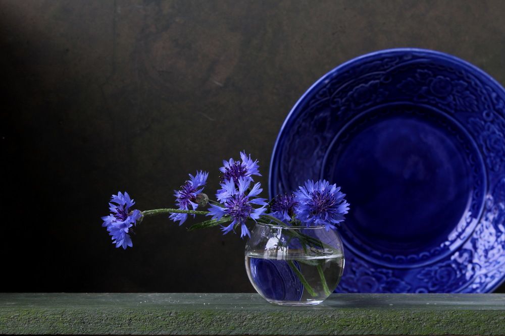 Photograph by Сироткина Нина