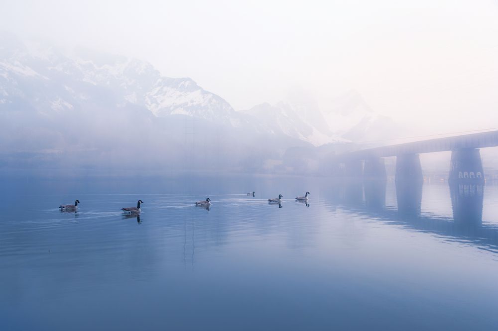 Photograph by Guanhua Yao