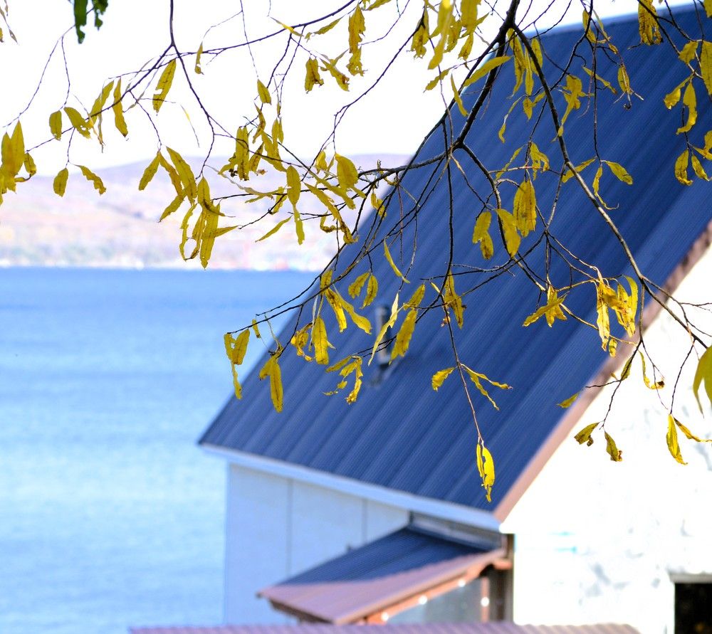 Photograph by Ения Семина