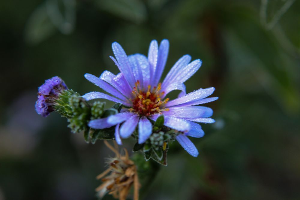 Photograph by Ирина Дмитриенко