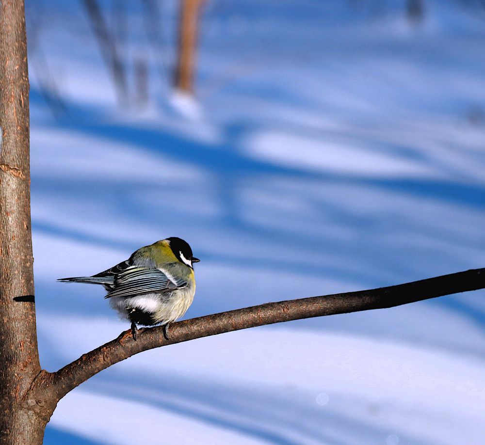 Photograph by Гагик Саркисян