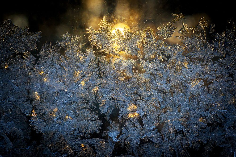 Photograph by Дмитрий Черепков