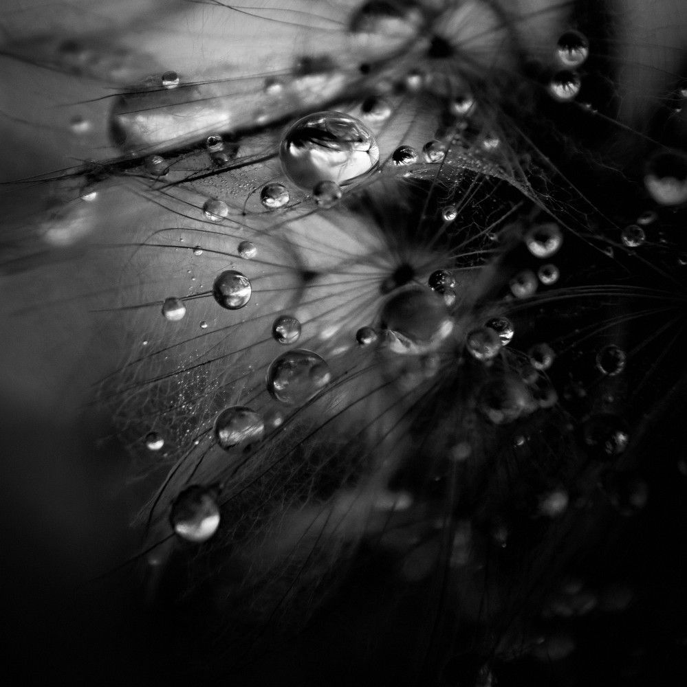 Photograph by Татьяна Максакова