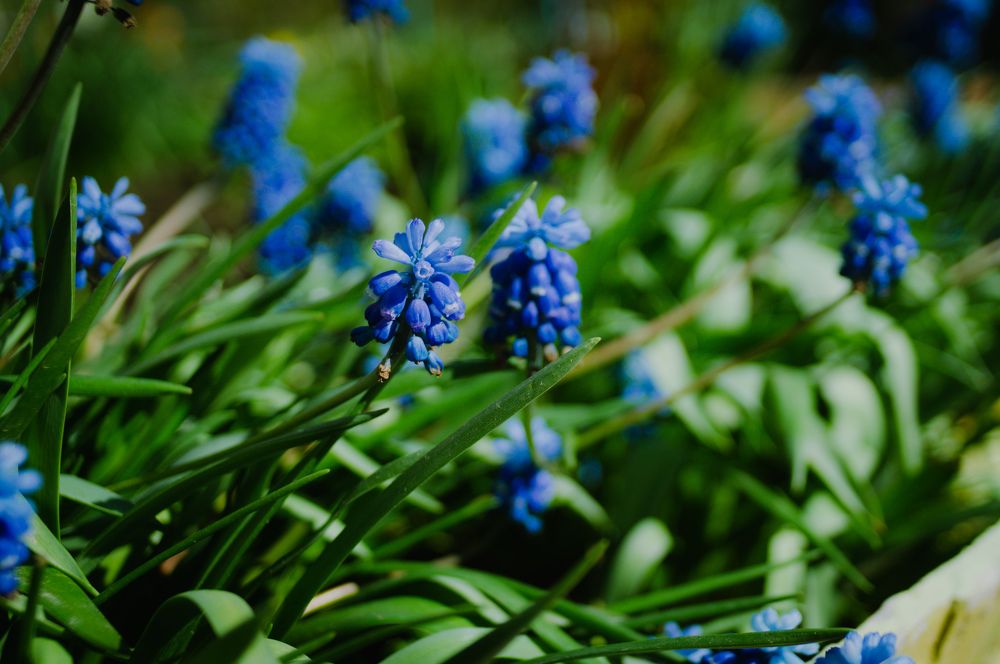 Фотография автора Мария Михайлова