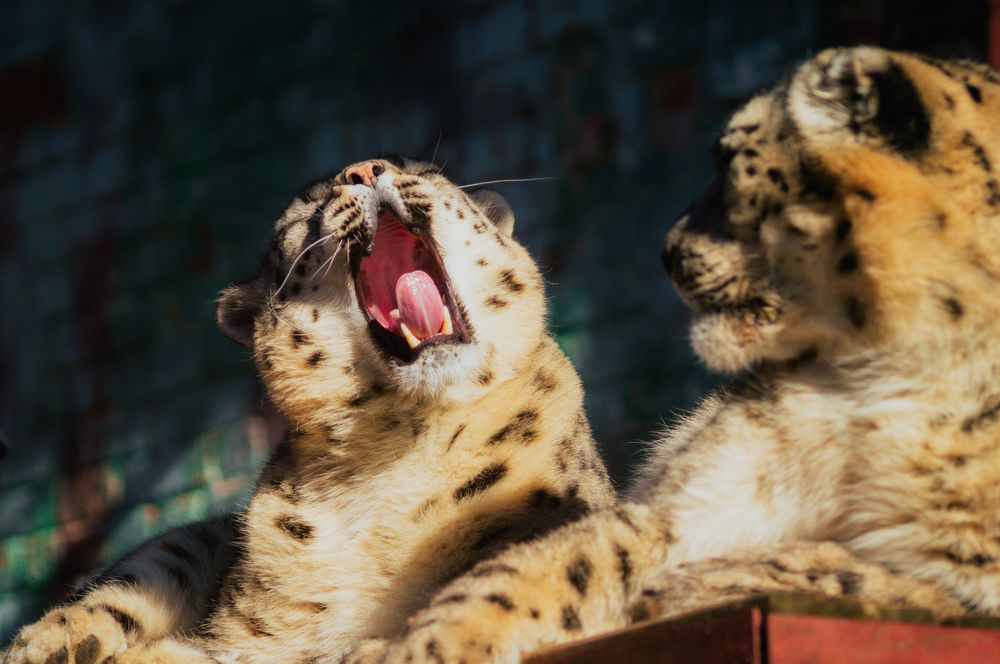 Фотография автора Мария Михайлова