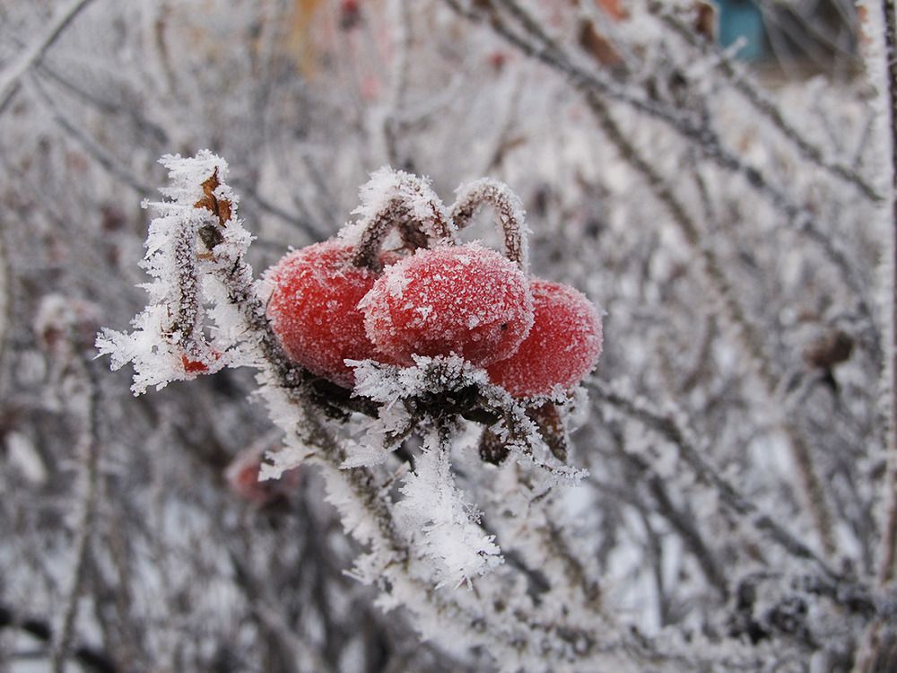 Фотография автора Мария Михайлова