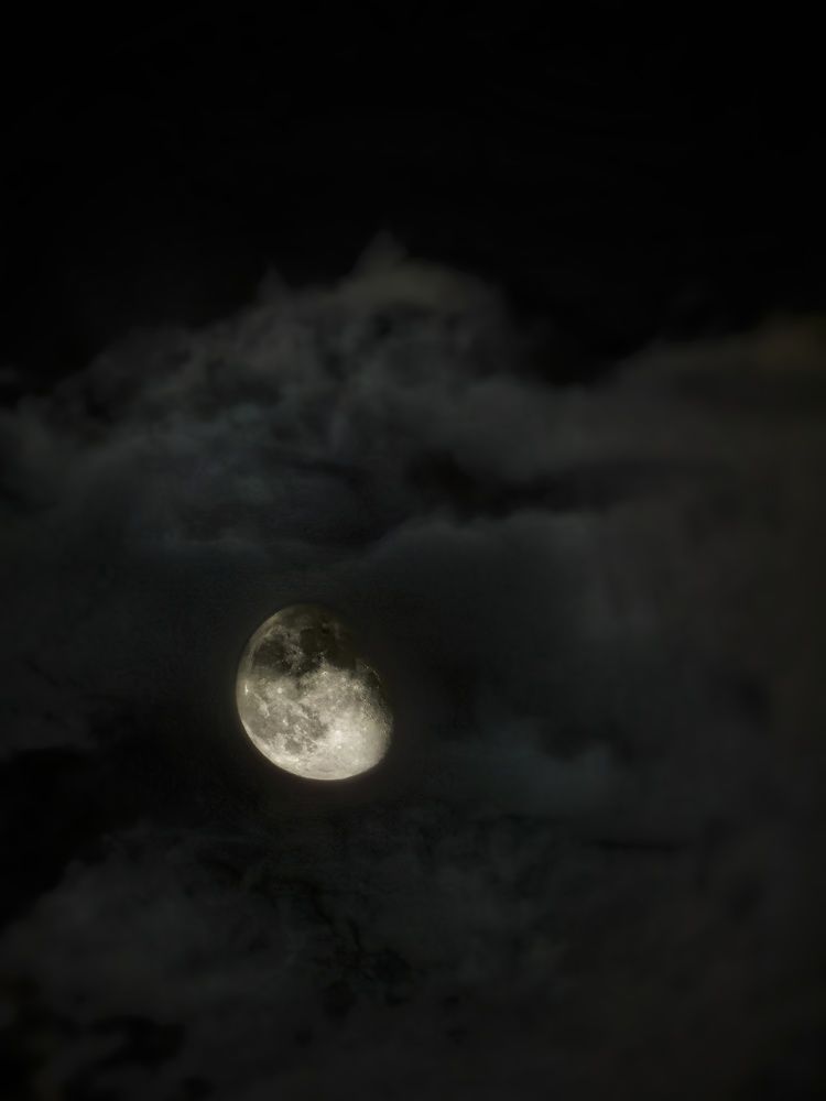 Photograph by Ярославна