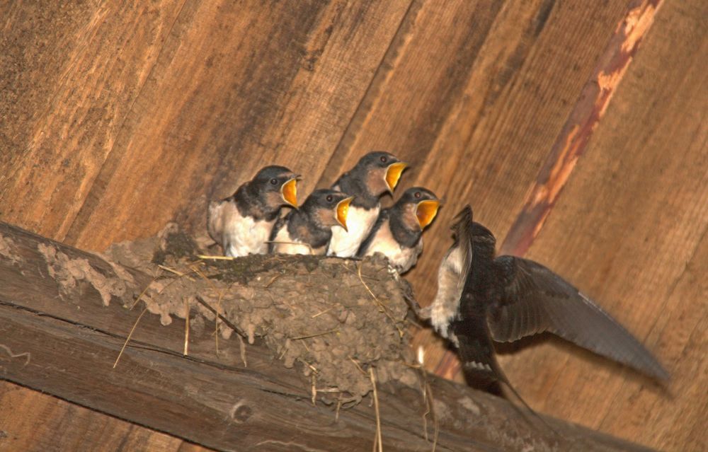 Фотография автора Юрий Кетель