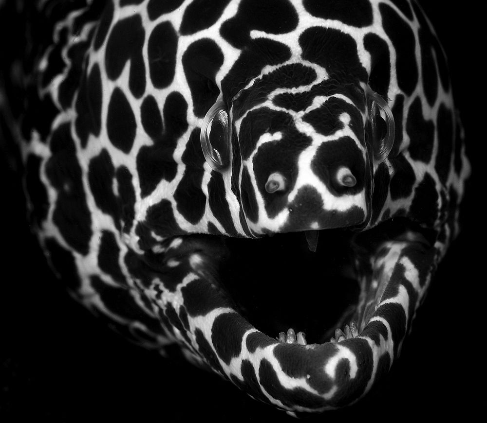 Фотография автора Нарчук Андрей