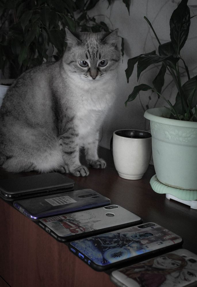 Photograph by Любовь Иванова