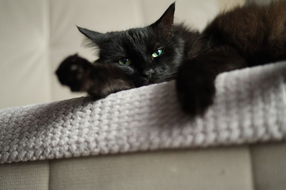 Photograph by Светлана Шупенько