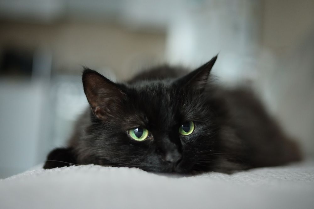 Photograph by Светлана Шупенько