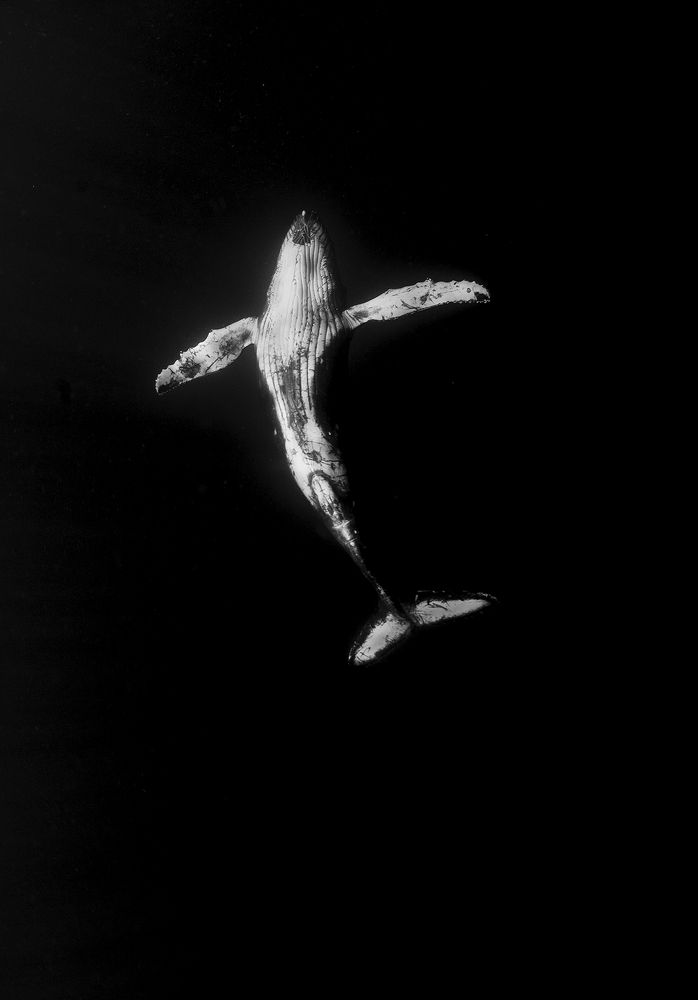 Photograph by Нарчук Андрей