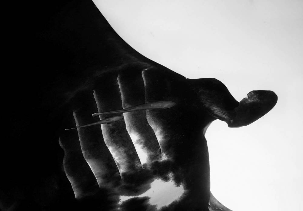 Фотография автора Нарчук Андрей