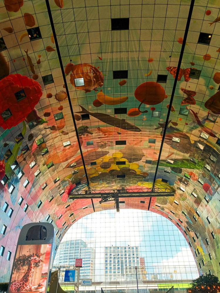 Photograph by Dilara C