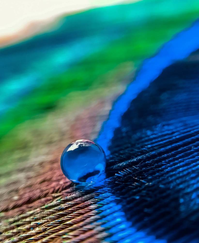 Photograph by Souvik Bhattacharyya