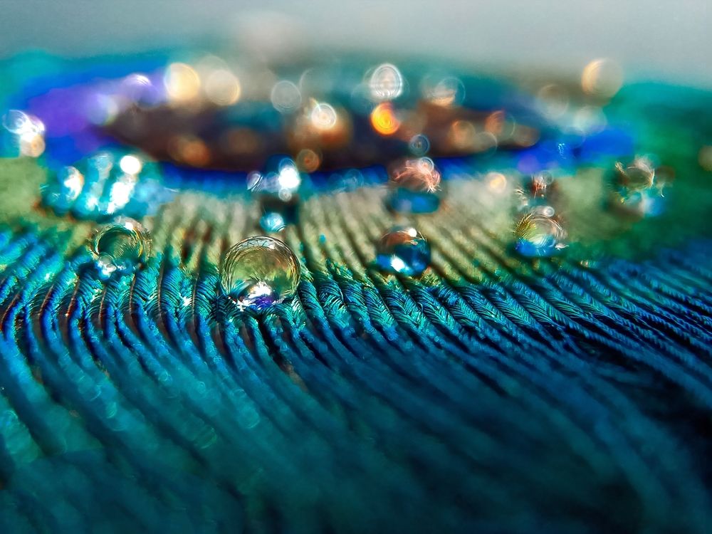 Photograph by Souvik Bhattacharyya