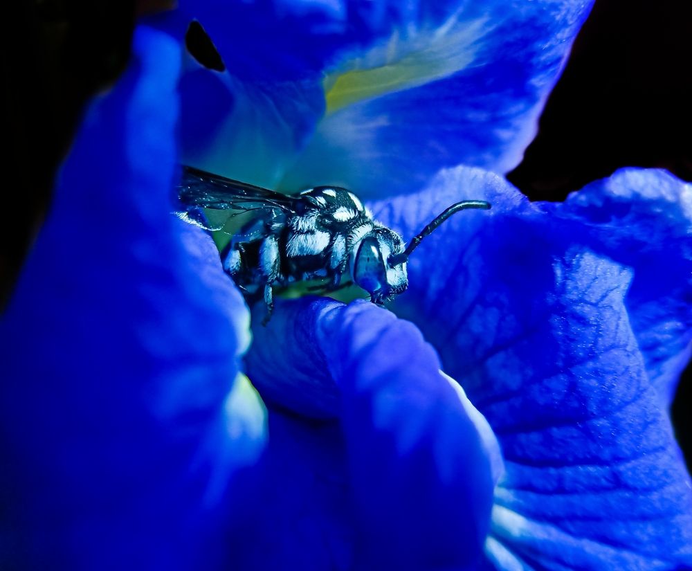 Photograph by Souvik Bhattacharyya