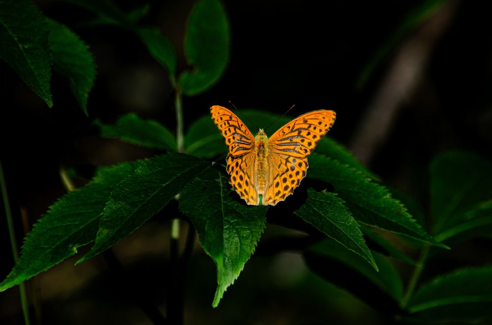 Photograph by Oksana Kuzmina