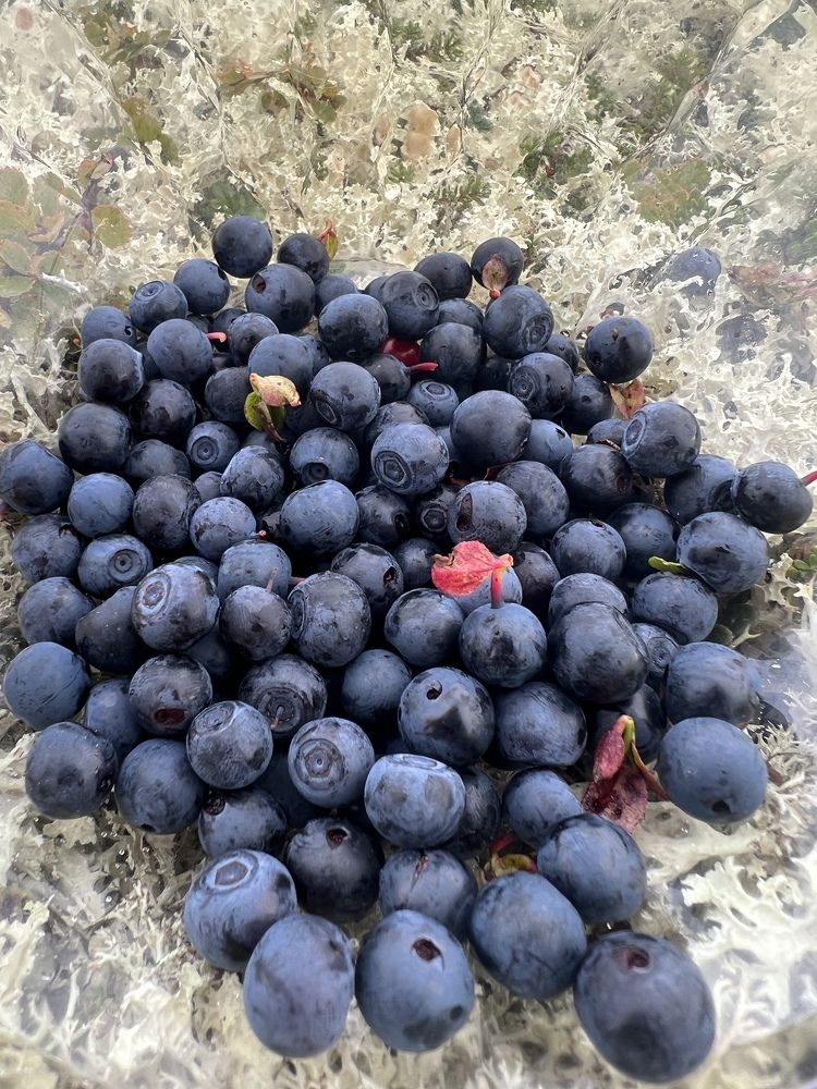 Photograph by Александра Акси