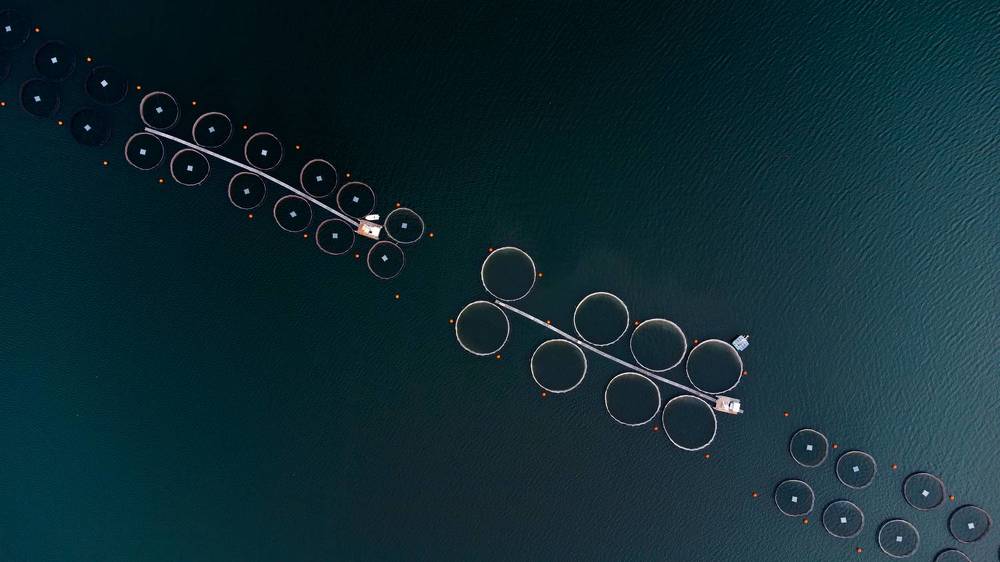 Фотография автора Lyuboslav Bochev