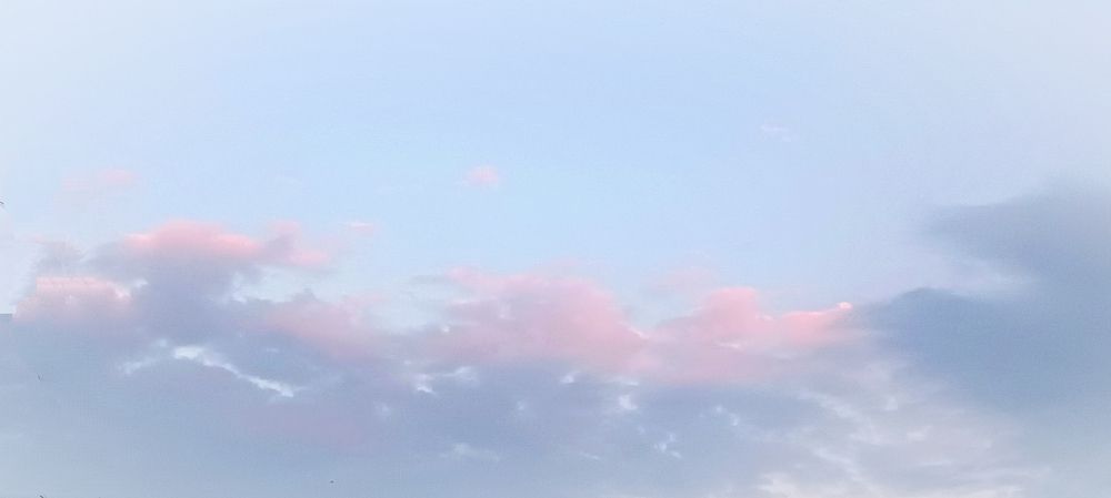 Photograph by Mishel Photographer