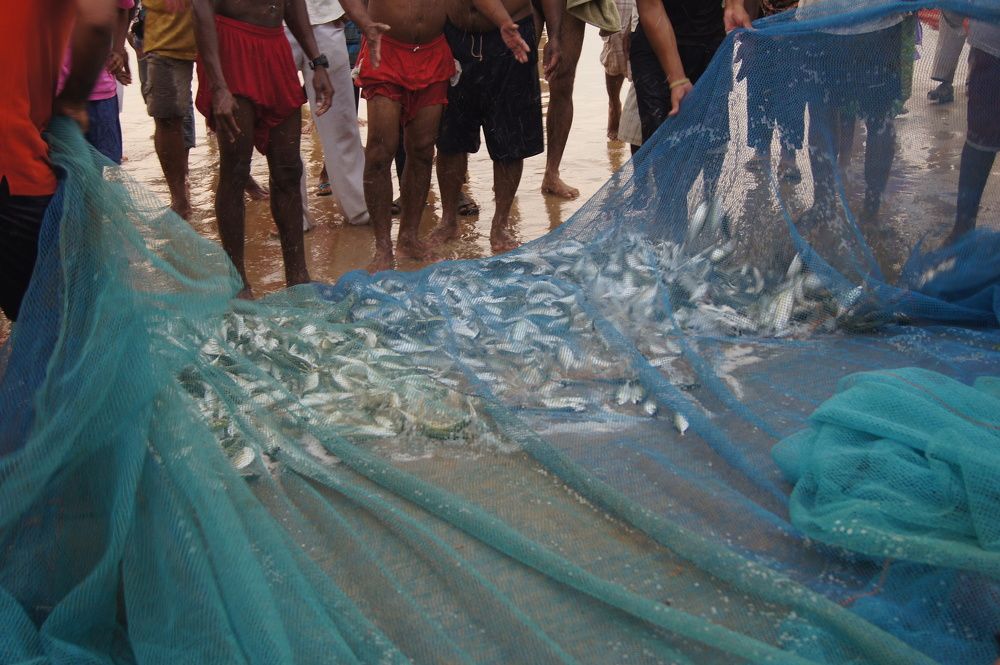 Photograph by Светлана Стрельцова