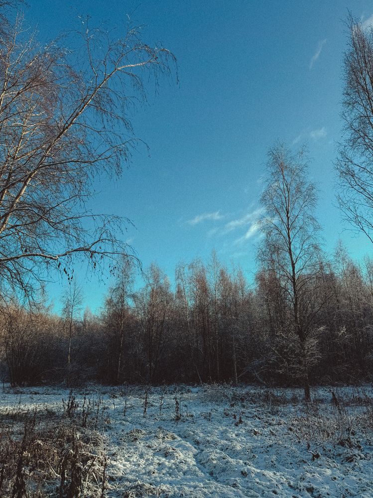 Photograph by Александра Кишикова