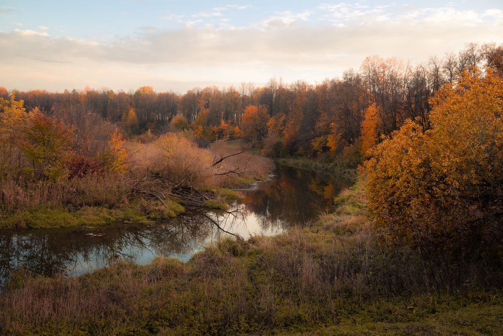 Photograph by Дарья Кончакова