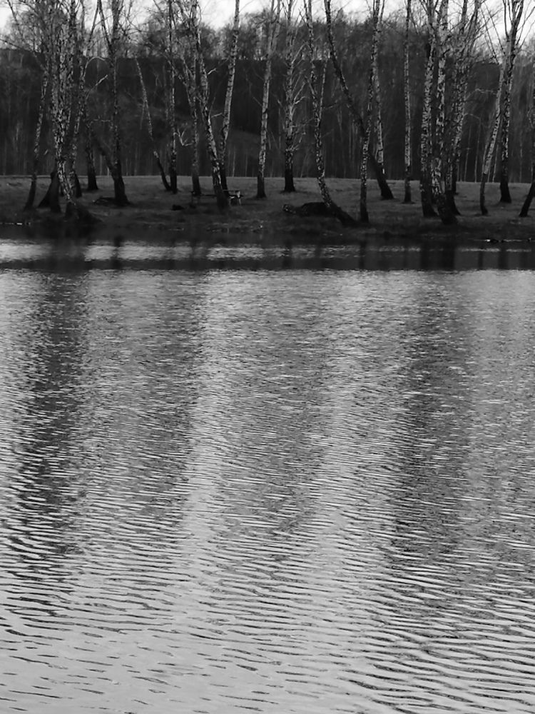 Photograph by Галина Попова