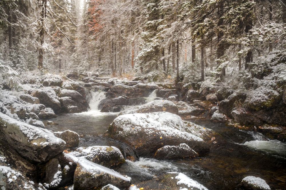 Photograph by Евгений Москвин