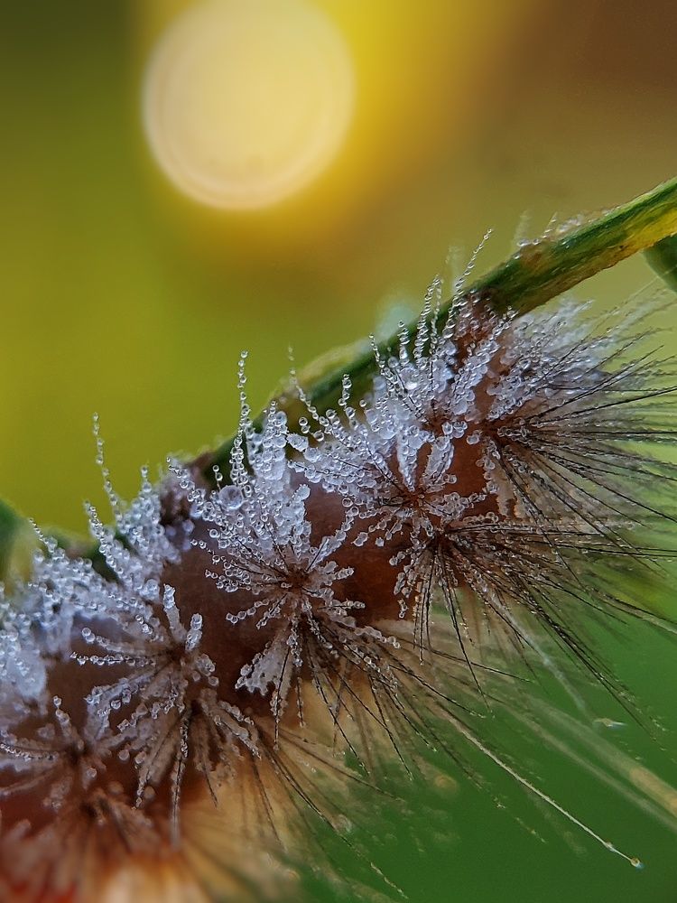 Photograph by Mimie Saari