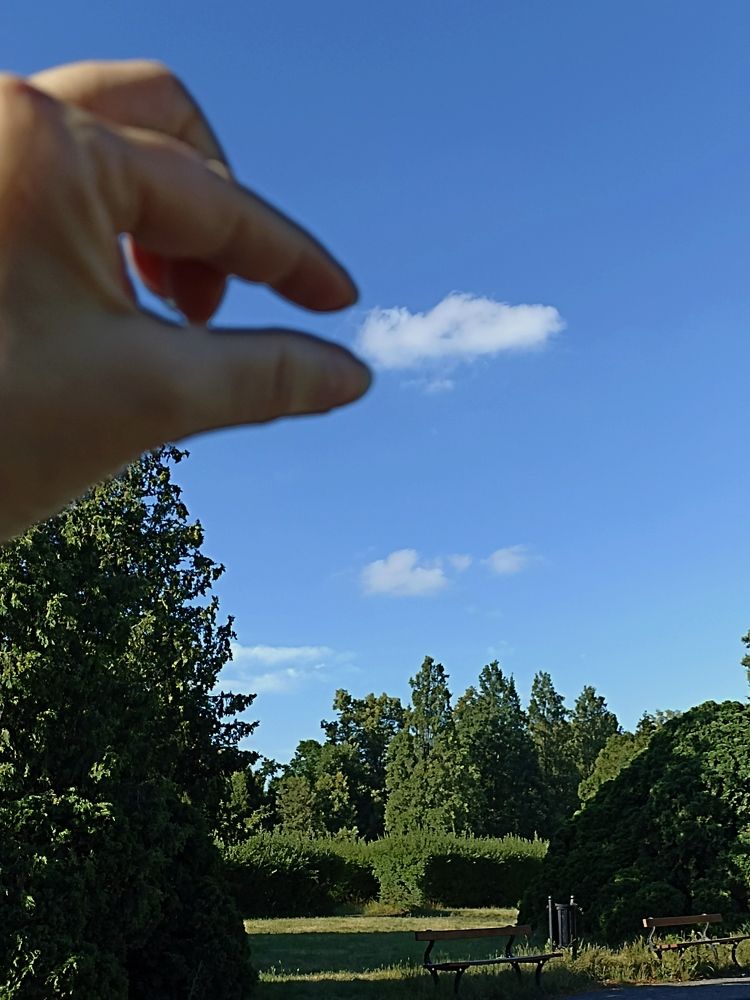 Photograph by Viktoryia М