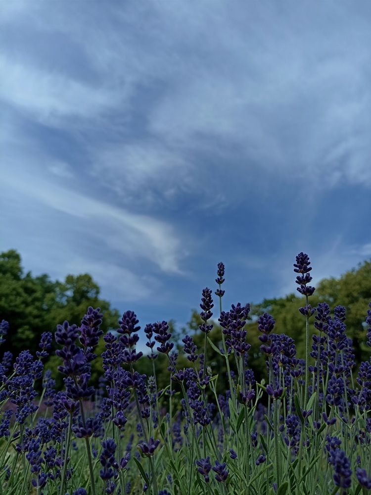 Photograph by Viktoryia М