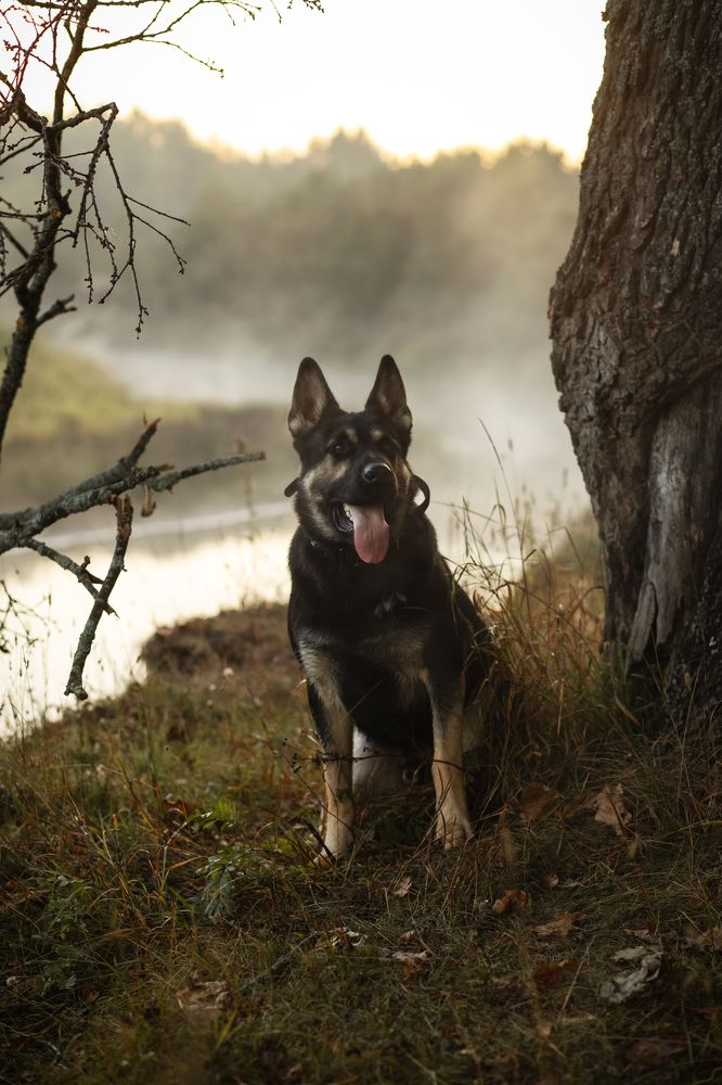 Photograph by Екатерина Степанцева