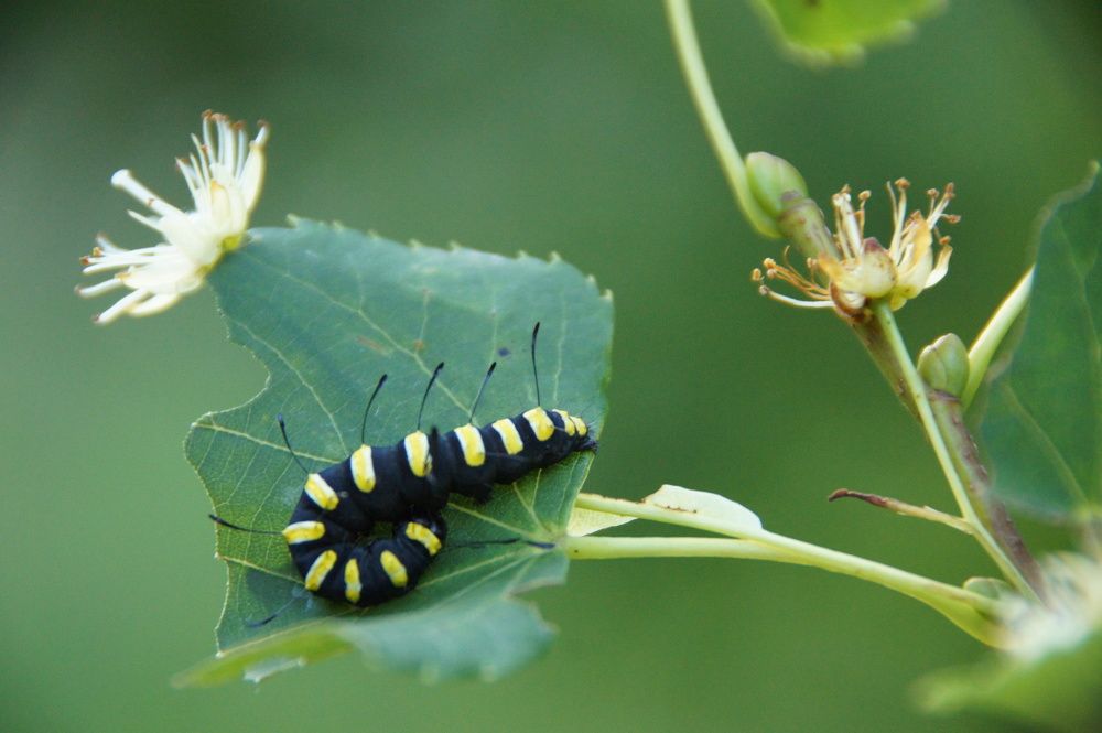Photograph by Светлана Стрельцова