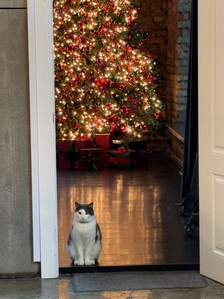 Photograph by Зоя Шкокова