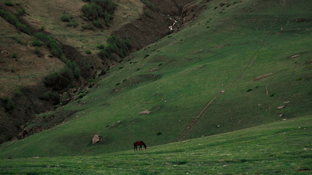 Фотография автора Lev Shutov