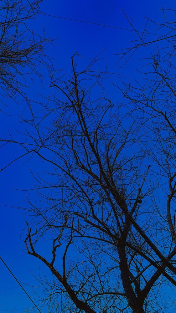 Photograph by Ника Савинкина