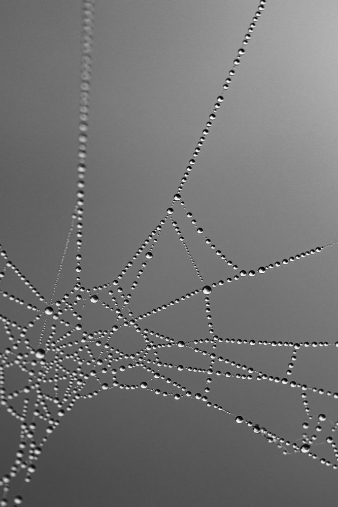 Photograph by Вероника Вербицкая